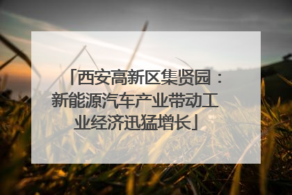 西安高新区集贤园：新能源汽车产业带动工业经济迅猛增长